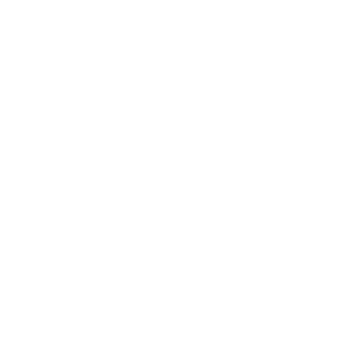 VECTOR AND PIXELS