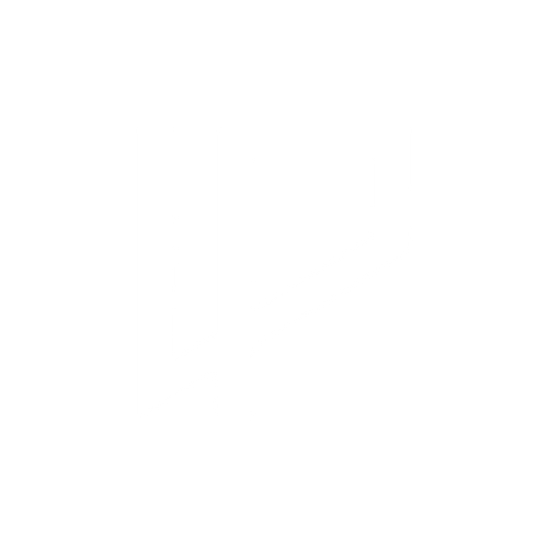 VECTOR AND PIXELS